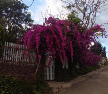 Gia Nghia House | Cozy Ly's Homestay: Family-Friendly & Guest Rated 9/10