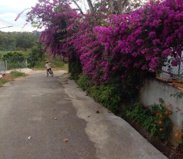 Gia Nghia House | Cozy Ly's Homestay: Family-Friendly & Guest Rated 9/10