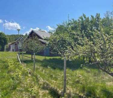 Ulricehamn Municipality House | Experience Lyckan - Cozy Minihouse in Rural Setting