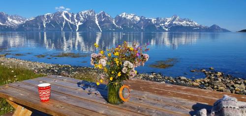 Lyngen House | Scenic Lyngen Arctic View with Oceanfront Comforts