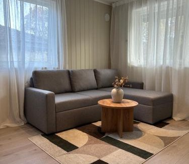 Hamresanden Apartment | Lys rent og trivelig hybelleilighet