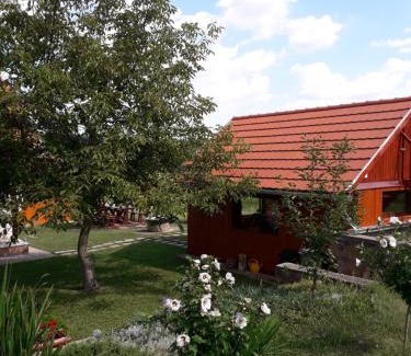 Tard Apartment | Cozy Mátyás Apartman with Breakfast & Child-Friendly Amenities