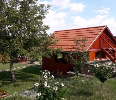 Tard Apartment | Cozy Mátyás Apartman with Breakfast & Child-Friendly Amenities