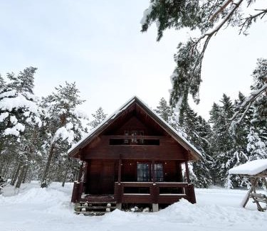 Suuresadama House | Experience Männiliiva Puhkemaja: Rated 9/10, Pet-Friendly Retreat