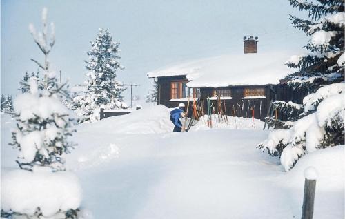 Nes House | Pet-Friendly Getaway at Mnebu – Ideal for Families