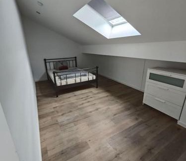 Hutschenhausen Apartment | Pet-Friendly Rooftop Apartment for a Memorable Stay