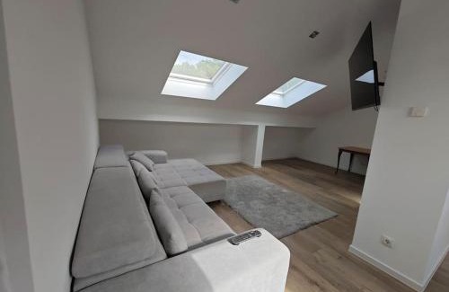 Hutschenhausen Apartment | Pet-Friendly Rooftop Apartment for a Memorable Stay