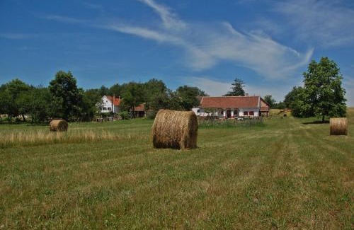 Szalafo Apartment | Discover Múltidéző Porta - Historic Homes in Őrség