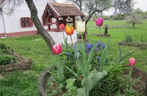 Szalafo Apartment | Discover Múltidéző Porta - Historic Homes in Őrség