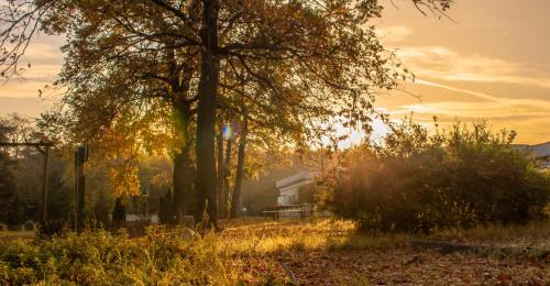 Treptow-Koepenick Hotel | Relax at Müggelseeperle: Pet-Friendly Stay with Breakfast