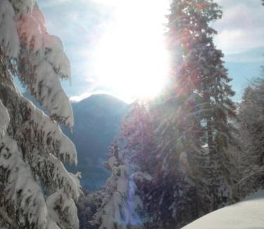 Lofer Ski Chalet | Discover Müllerkaser: Top-Rated & Family-Friendly Stay