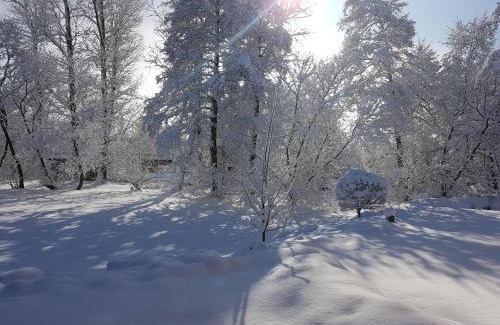 Schwarzach b. Nabburg Apartment | Pet-Friendly Retreat at Müllner-Hof - Rated 9.8/10!