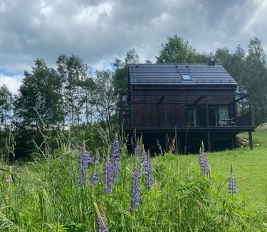 Stronie Slaskie Villa | Inviting Młynowiec 4Rest: Rated 9/10 with Hot Tub & Breakfast