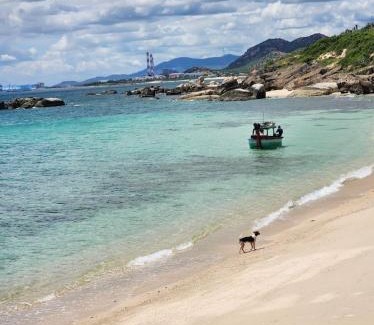 Thuan Nam Hotel | Discover Mũi Dinh Hotel: Oceanfront Bliss Awaits You