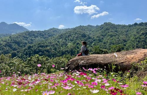 Moc Chau House | Cozy Mường Sang Farmstay with Family-Friendly Amenities
