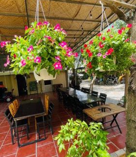 Ke Ga Hotel | Experience Mộc Lam Homestay: Rated 9/10 with Pet-Friendly Perks