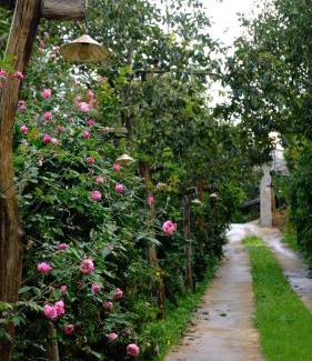 Da Lat Cabin | Discover Mộc Trà Farm: Pet-Friendly Family Retreat