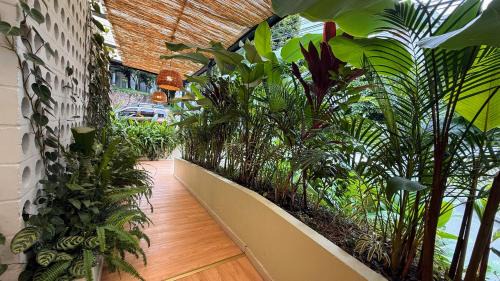Patio Bonito Apartment | Inviting Apartamentos Muuk Boutique: Family-Friendly Retreat