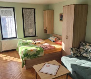Transcarpathia Apartment | Pet-Friendly M&M Apartments with High Guest Rating 9.2