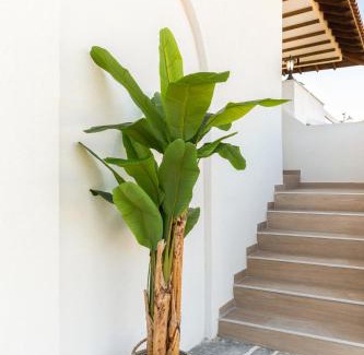 Vourvourou Villa | Experience m&m: Guest Rated 9.6, Pet-Friendly Retreat