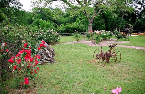 Sutherland Springs Cabin | Discover Rio Cibolo Glamping Cabin with Pool & Spa Amenities