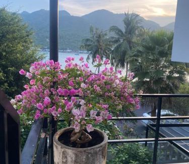 Nha Trang Villa | Experience M Villa Nha Trang: Oceanfront & Pet-Friendly Retreat