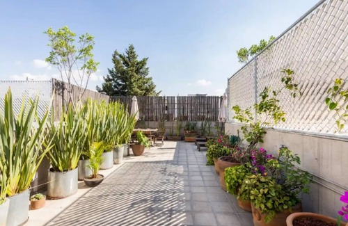 La Condesa Apartment | Modern 2BR Apartment with Kitchen & Pet-Friendly Perks