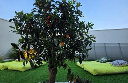 Municipio 5 Apartment | M4REE Seaside Suites & Relax