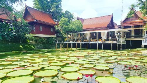 Bang Tao Resort | Relax at Ma Doo Bua Stay - SHA Extra Plus with Ocean Views