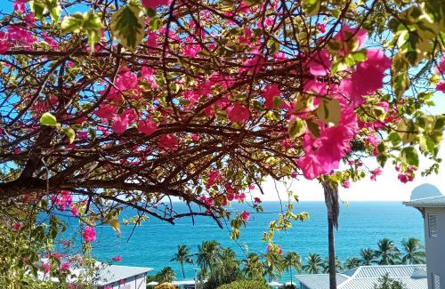 Le Diamant Apartment | Seaside Studio with Pool in a Family-Friendly Complex