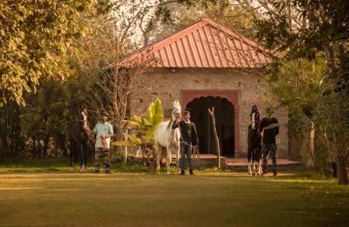 Sawai Madhopur Resort | Maa Ashapura Resort