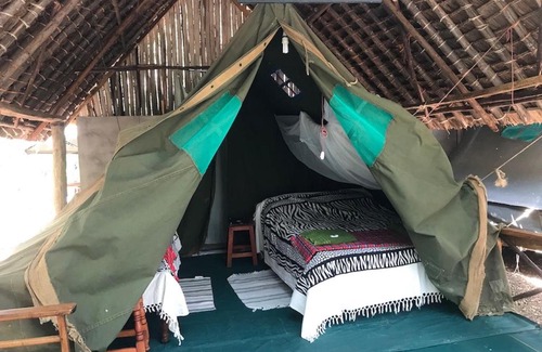 Mbirikani Resort | Discover Maasai Simba Camp: Pet-Friendly Retreat Awaits