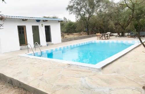 Mbirikani Resort | Discover Maasai Simba Camp: Pet-Friendly Retreat Awaits