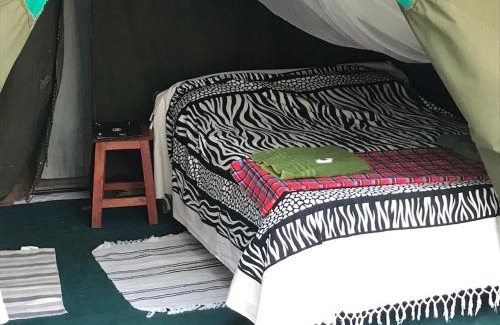 Mbirikani Resort | Discover Maasai Simba Camp: Pet-Friendly Retreat Awaits