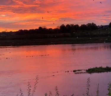 Lanaken House | Explore Maashuys: 4-Star Retreat with Pet-Friendly Options
