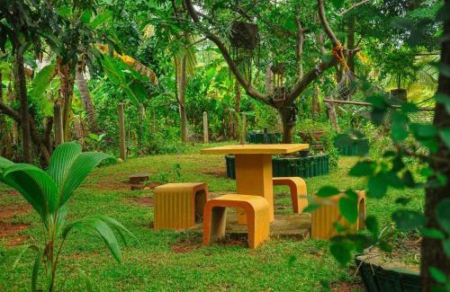 Inamaluwa Cabin | Guest Rated 10/10: Machcha Lodge Sigiriya with Breakfast
