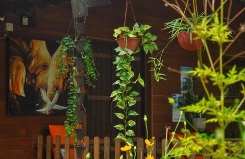 Inamaluwa Cabin | Guest Rated 10/10: Machcha Lodge Sigiriya with Breakfast
