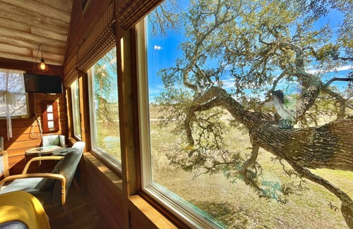 Dripping Springs Cabin | Enchanting Treehouse Suite with Pool & Hill Country Views