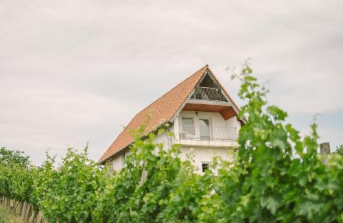 Kissomlyo House | Family-Friendly MacskaFészek Vendégház with Kitchen Amenities