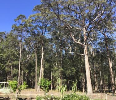 Woollamia House | Family-Friendly Stay at Macyland with Top Ratings