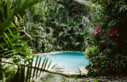 Leona Vicario House | Eco-Friendly Madre Tierra Habitat with Pool and Breakfast