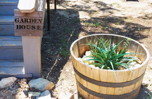 Dripping Springs Cabin | Relax at Arbor House of Dripping Springs - Garden Retreat