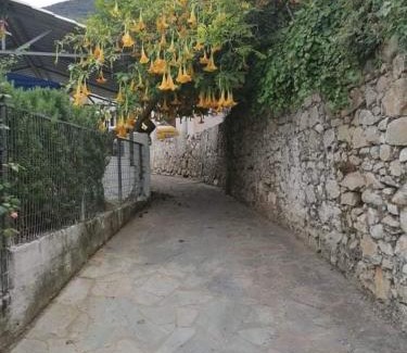 Dafnata Apartment | Exceptional Stay at Magda's Apartment - Family Friendly Retreat