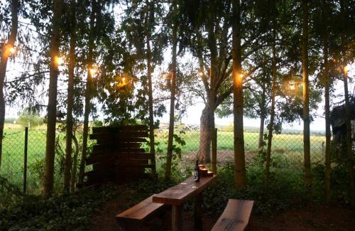 Lidzbark Warminski Apartment | Guest Rated 9.3: Magic Wood Studio Apartment in Koniewo