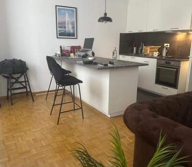 Downtown Geneva Apartment | Elegant Apartment with Ocean View in Geneva Center
