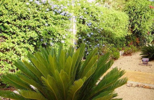 Javea Villa | Exquisite Villa with Sea View, Private Pool & Breakfast