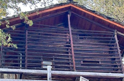 Hauderes Ski Chalet | Cozy Raccard: Pet-Friendly Retreat for Families