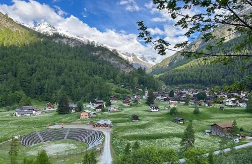 Hauderes Ski Chalet | Cozy Raccard: Pet-Friendly Retreat for Families
