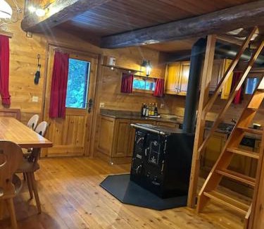 Hauderes Ski Chalet | Cozy Raccard: Pet-Friendly Retreat for Families