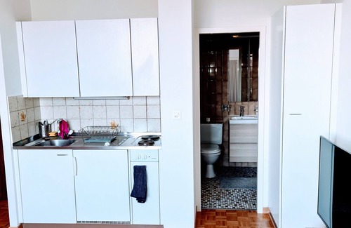 Lausanne Apartment | Stylish Studio in City Center with Spa and Hot Tub